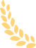 02.png