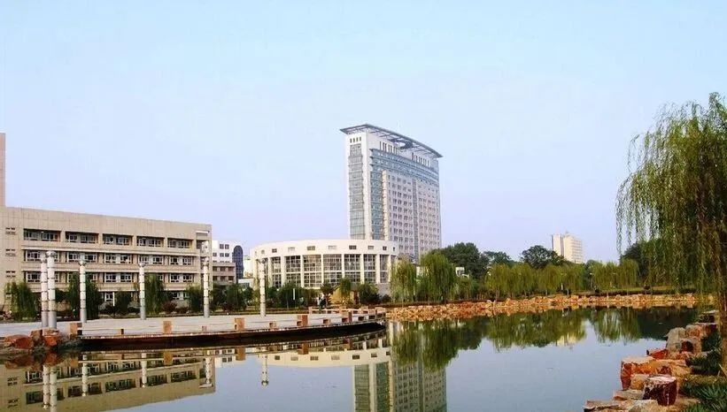06.jpg