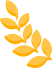 微信图片_20240902180104.png