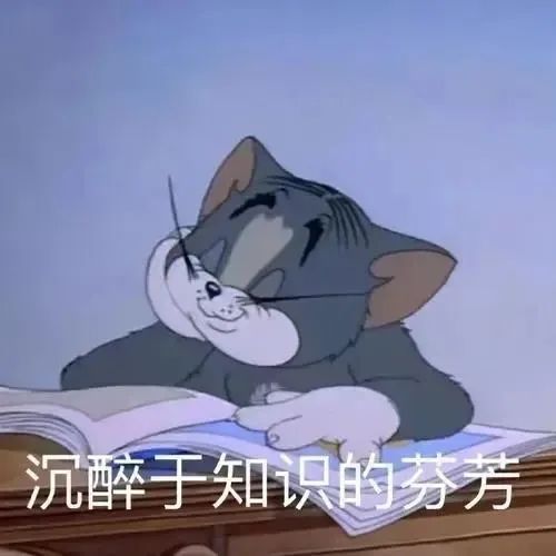 030.jpg